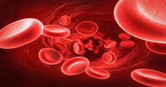 Bloodborne Pathogens in Healthcare Interactive Online Training