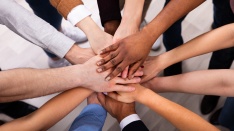 Diversity in the Workplace: Candid Conversations Interactive Online Training