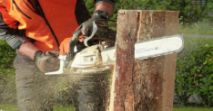 Chainsaw Safety Interactive Training