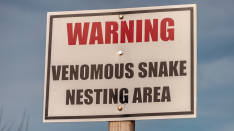 Venomous Snakes Interactive Online Training